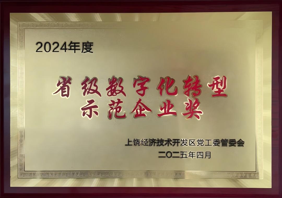 2024年度省级数字化转型示范企业